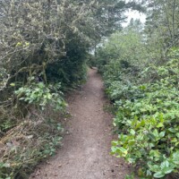 clay meyers dirt path