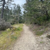 clay meyers sandy path