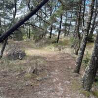 whalen island path