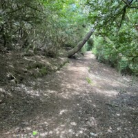 whalen island path south
