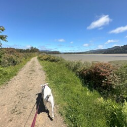 SS sumer trail