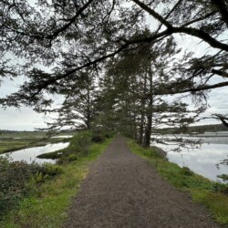 SS trail