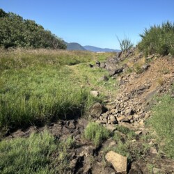 netarts bay muddy path